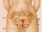 Scurgeri Vaginale ( Fluor vaginalis )