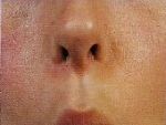 Muschii obrazului si ai buzelor