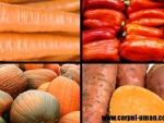 Legumele si fructele de culoare portocalie ofera protectie de cancerul mamar