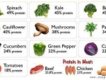 Proteine vegetale si sursele lor