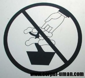 Plante interzise in sarcina