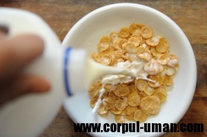 Lapte si cereale la micul dejun