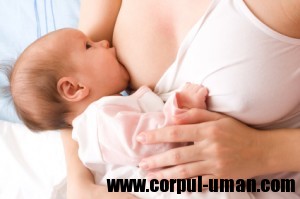 Laptele matern si colostrul