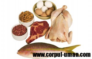 Proteinele- Dieta Dukan
