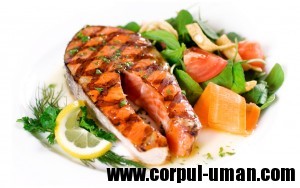 Dieta Atkins completa