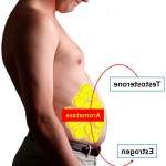 Estrogen pentru barbati