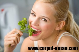 Dieta pentru intinerire