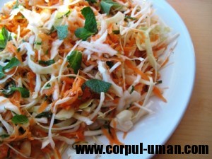 Dieta cu salata de cruditati