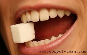 Hipersensibilitatea dentara