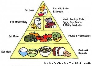 Dieta tip piramida