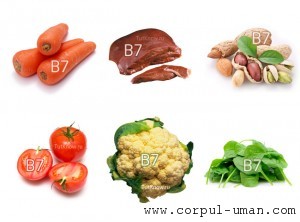 Vitamina B7-biotina