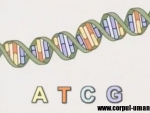 Genetica (video)