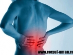 Tratament naturist pentru durerile de spate