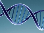 ADN artificial – Acum este posibil