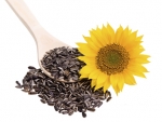 Cat de importante sunt semintele de floarea soarelui in cadrul unei diete?