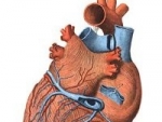 Ruscuta de primavara trateaza problemele cardiace