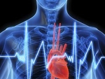 Stop cardiac – tehnica respiratiei gura la gura este inutila