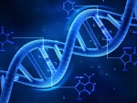 Care este legatura dintre ADN si caracterul tau?