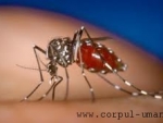 S-a descoperit un nou vaccin contra malariei?