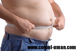 Ingrasarea si mituri despre greutate