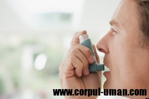 Astm - Prevenirea astmului