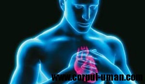 Simptome infarct miocardic