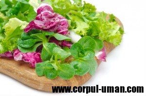 Dieta de slabire cu salata verde