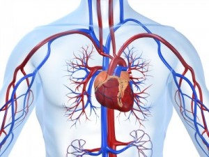 Afectiuni cardiovasculare
