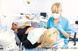 Teama de dentist