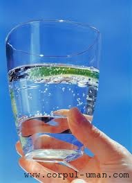 Consumul de apa la masa