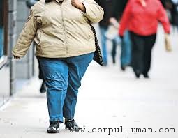 Obezitatea si sanatatea