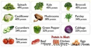 Proteine vegetale