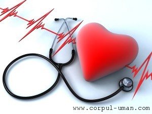 Afectiuni cardio-vasculare preventie