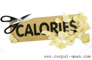 Important caloriilor