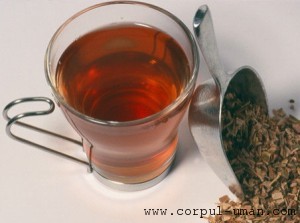 Ceai de mesteacan