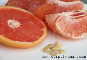 Seminte de grapefruit